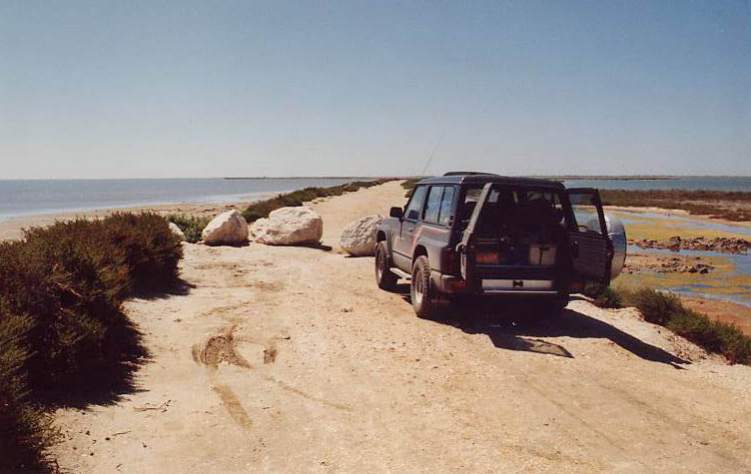 Mein zweites Auto, ein Nissan Patrol 2.8 GR. 115 PS Turbodiesel mit 6 Zylindern. Immerhin aber serienmäßig mit 100% Differenzialsperre an der Hinterachse und das auch noch elektrisch per Drehknopf betätigt ;-) Auch die restliche Technik war - für damals -