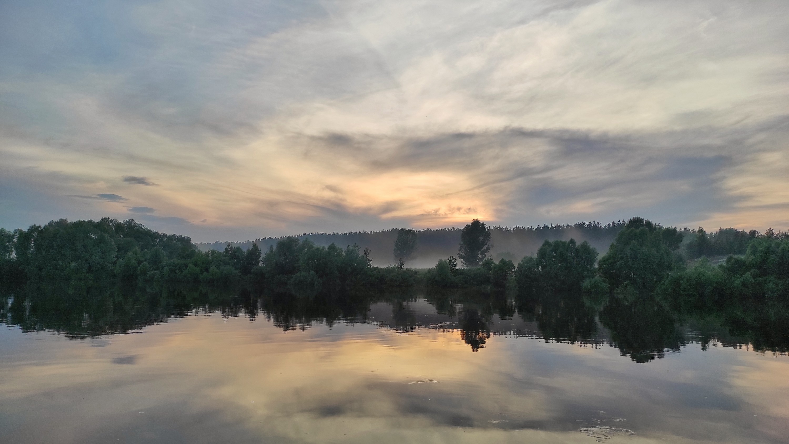 Nebel nach Sommerregen