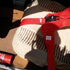 V6 Yster Seatbelt - Bullrun 2016