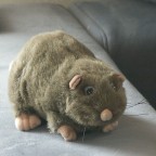 Gestatten, Superratte. Adoptiert 2005 auf dem Münchener Oktoberfest. Bewacht das Wohnzimmer und ist TV-Gernseher.