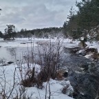 Auch bei -18°C unaufhaltbar