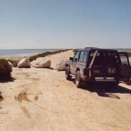 Mein zweites Auto, ein Nissan Patrol 2.8 GR. 115 PS Turbodiesel mit 6 Zylindern. Immerhin aber serienmäßig mit 100% Differenzialsperre an der Hinterachse und das auch noch elektrisch per Drehknopf betätigt ;-) Auch die restliche Technik war - für damals -